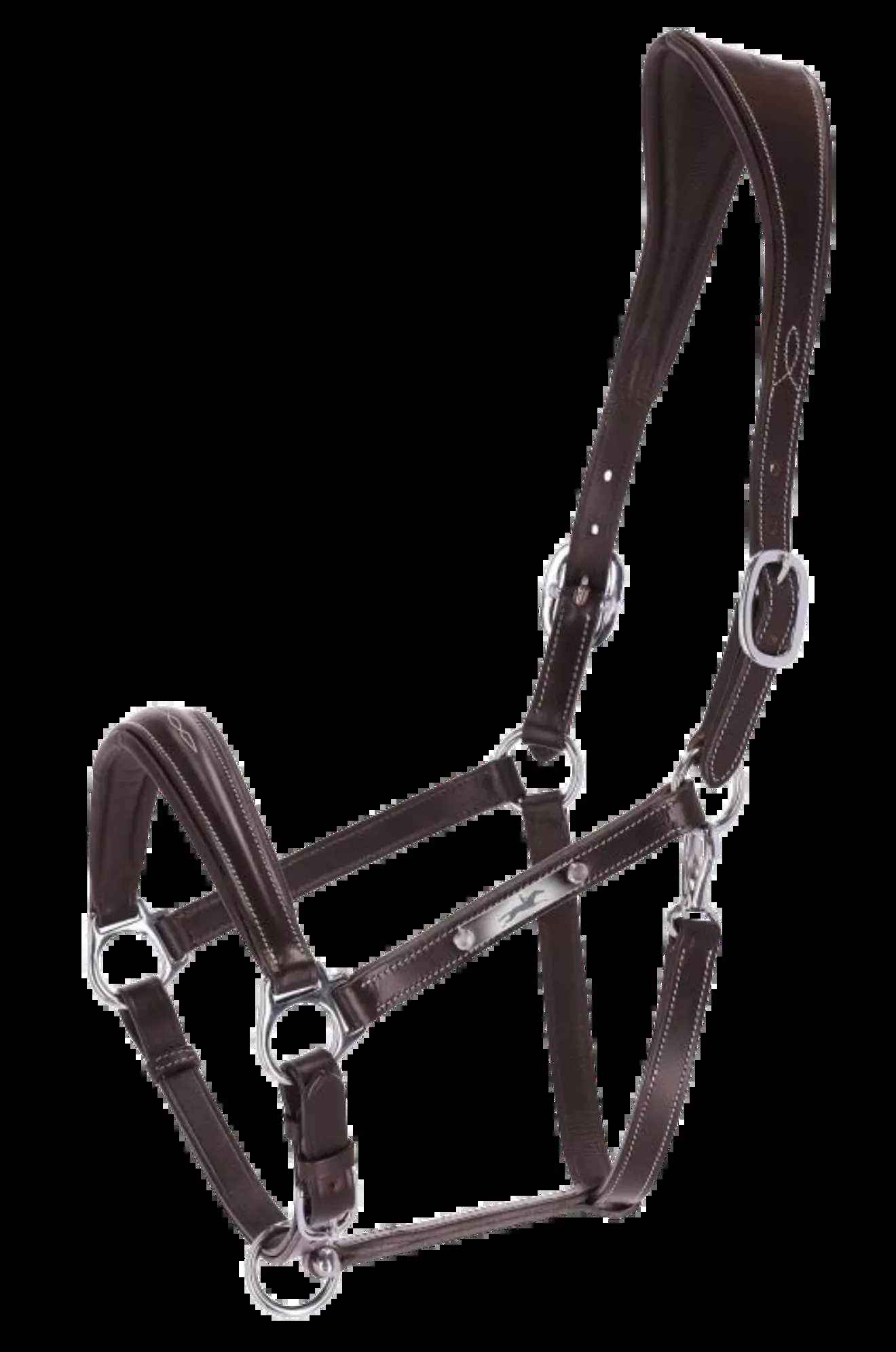 Schockemohle SP Frisco Halter