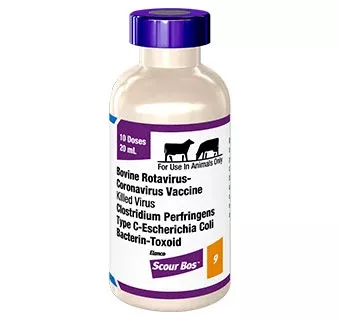Scour Bos 9, 10 dose