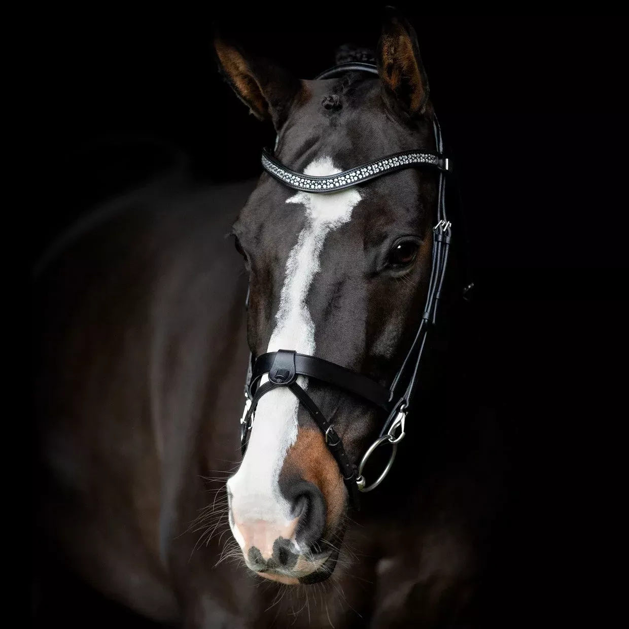 SD Design Calegro Pony Bridle