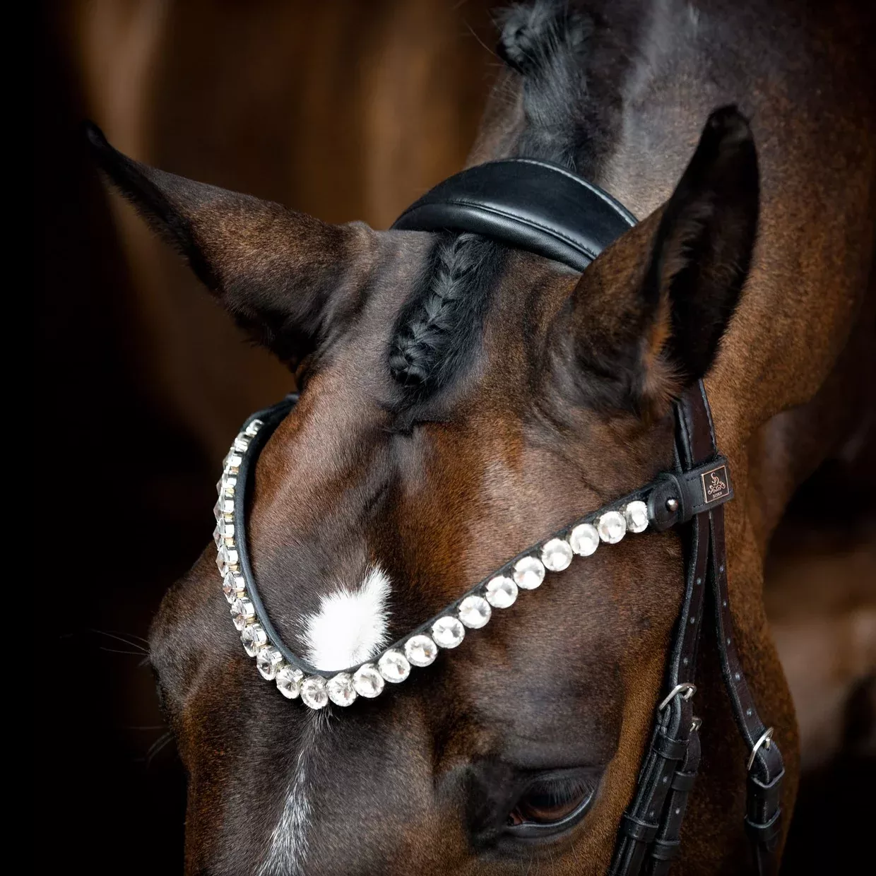 SD Design Valentino Browband