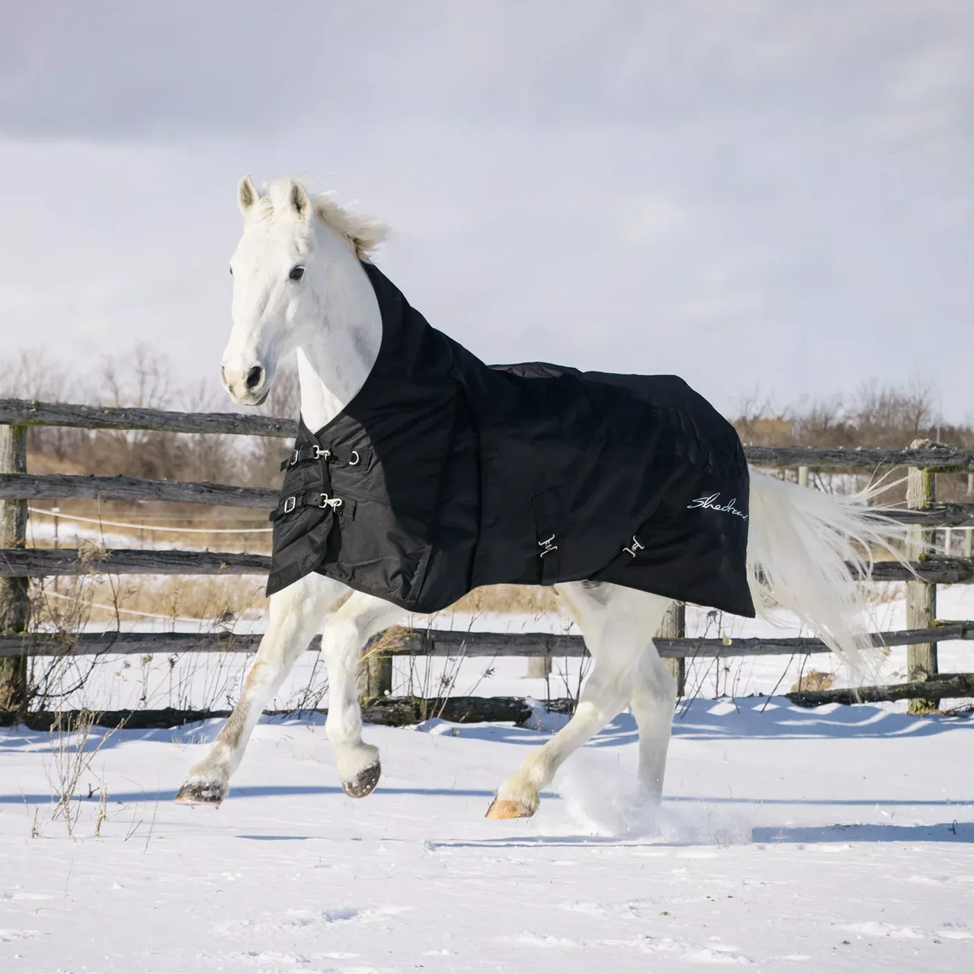 Shedrow Comfort Neck Turnout Blanket 300 g