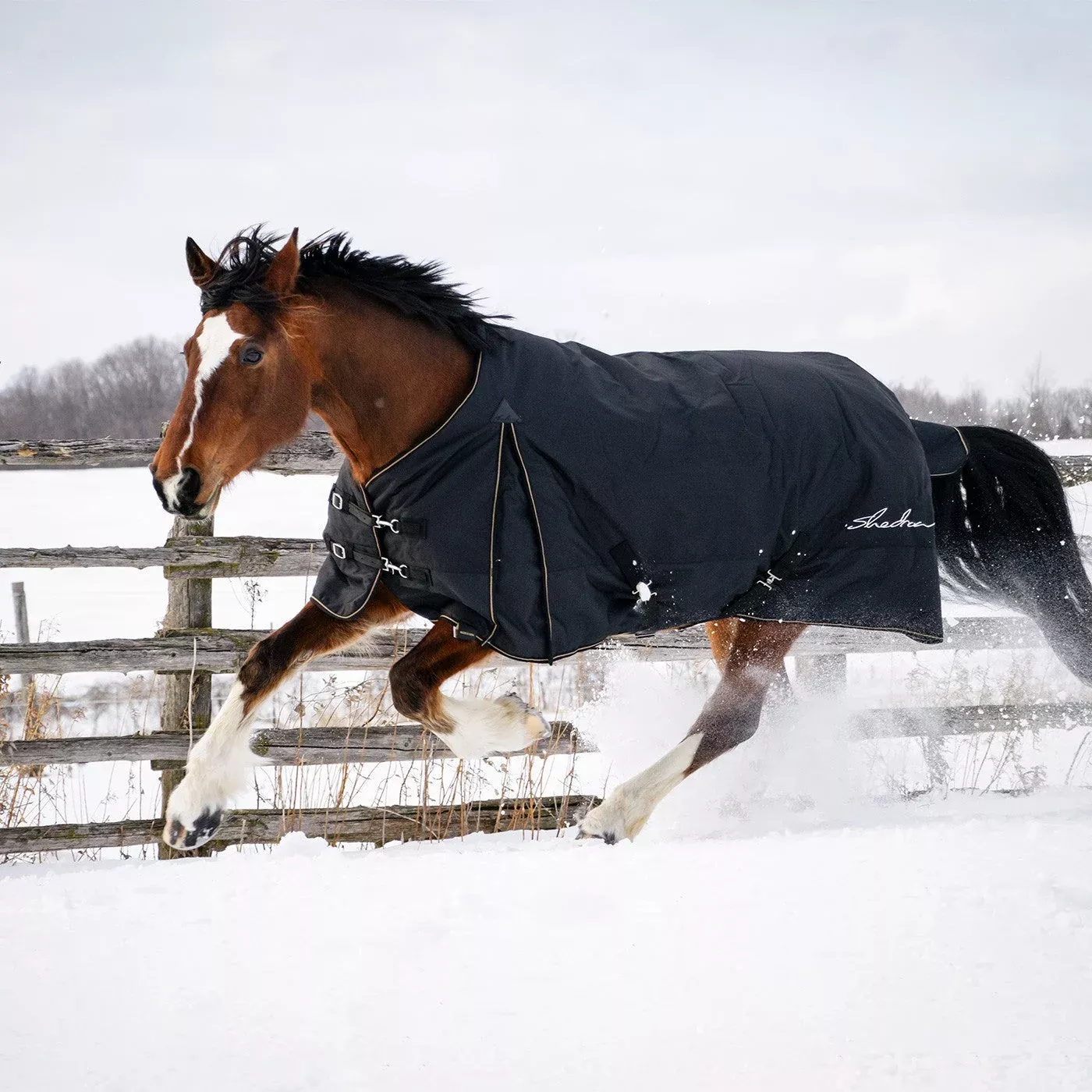 Shedrow Turnout Blanket 300 g