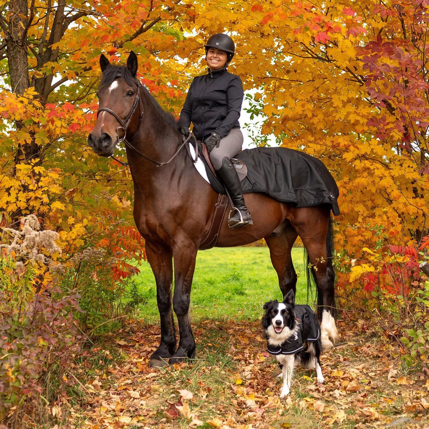Shedrow Waterproof Exercise Sheet 75"
