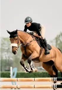 Sheepskin Noseband Cover