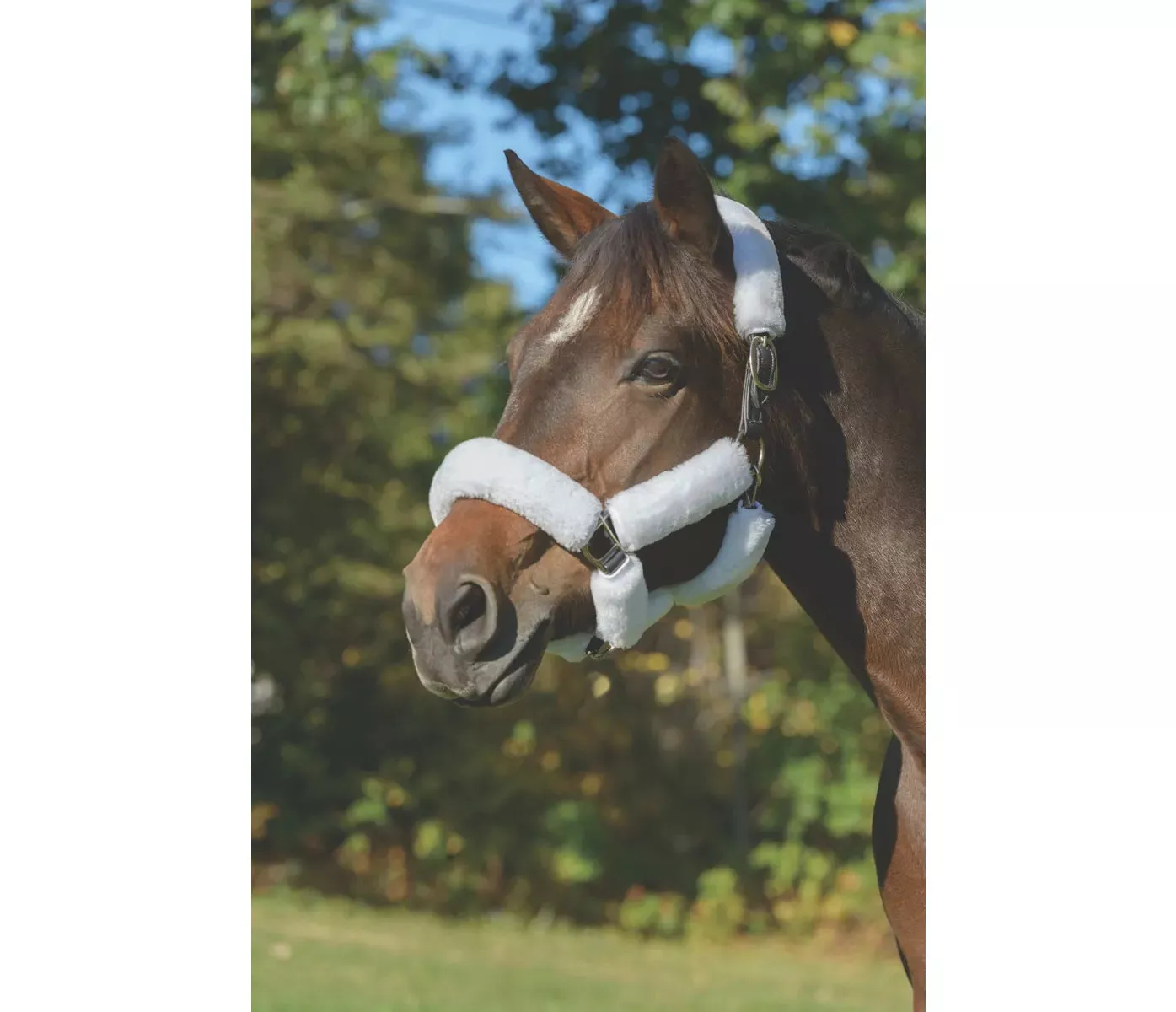 Shires Arma Supa Fleece Halter Set - 9 Piece