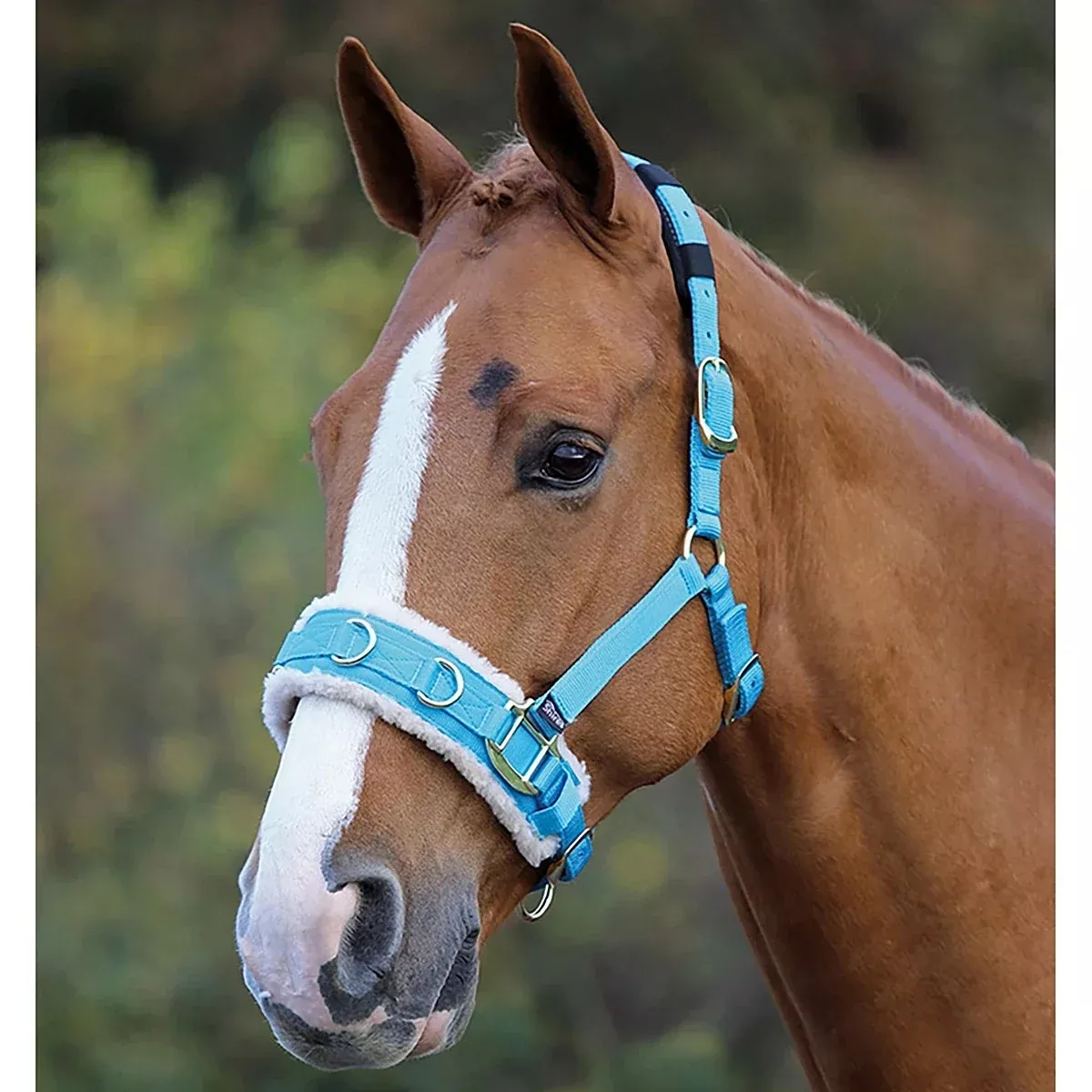 Shires fleece-lined lunge cavesson