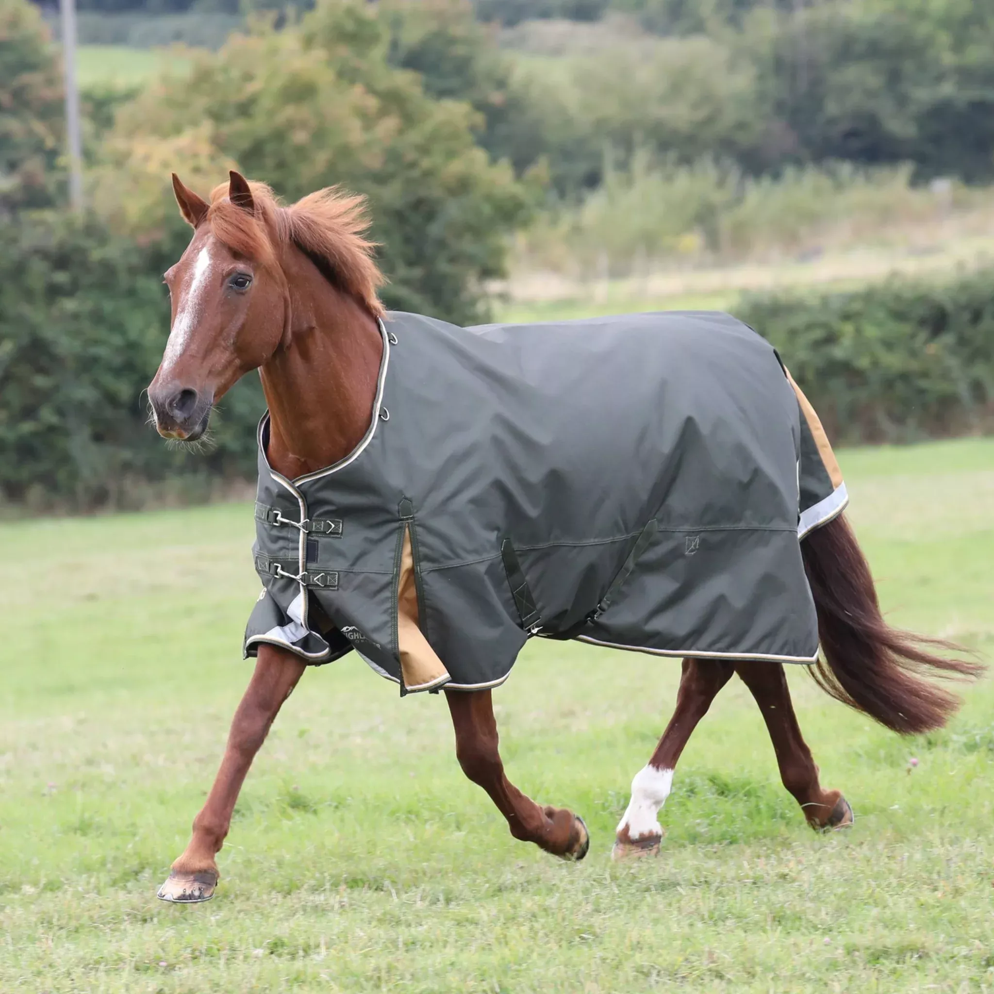 Shires Highlander Plus Lite Standard Neck Blanket