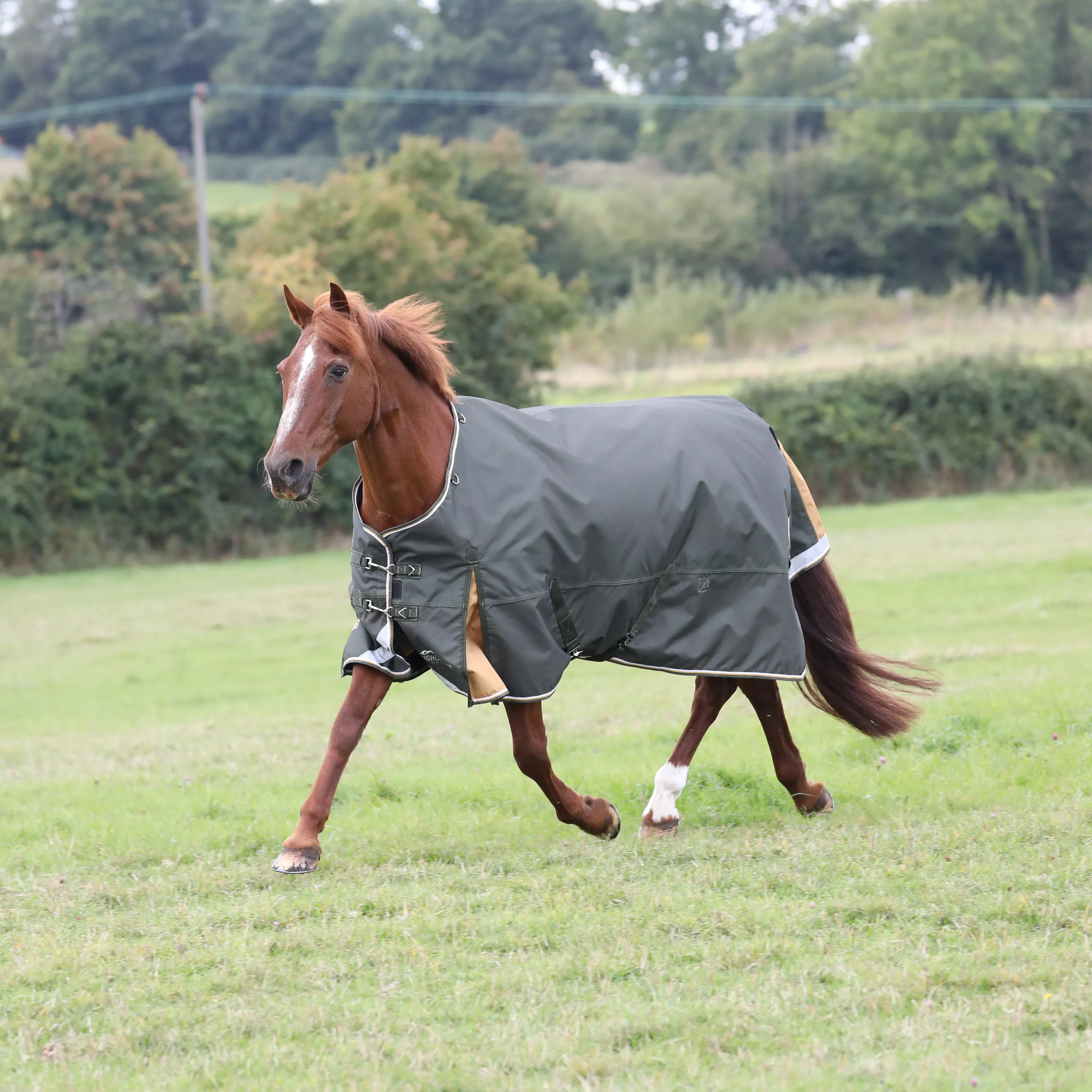 Shires Highlander Turnout Blanket 0g