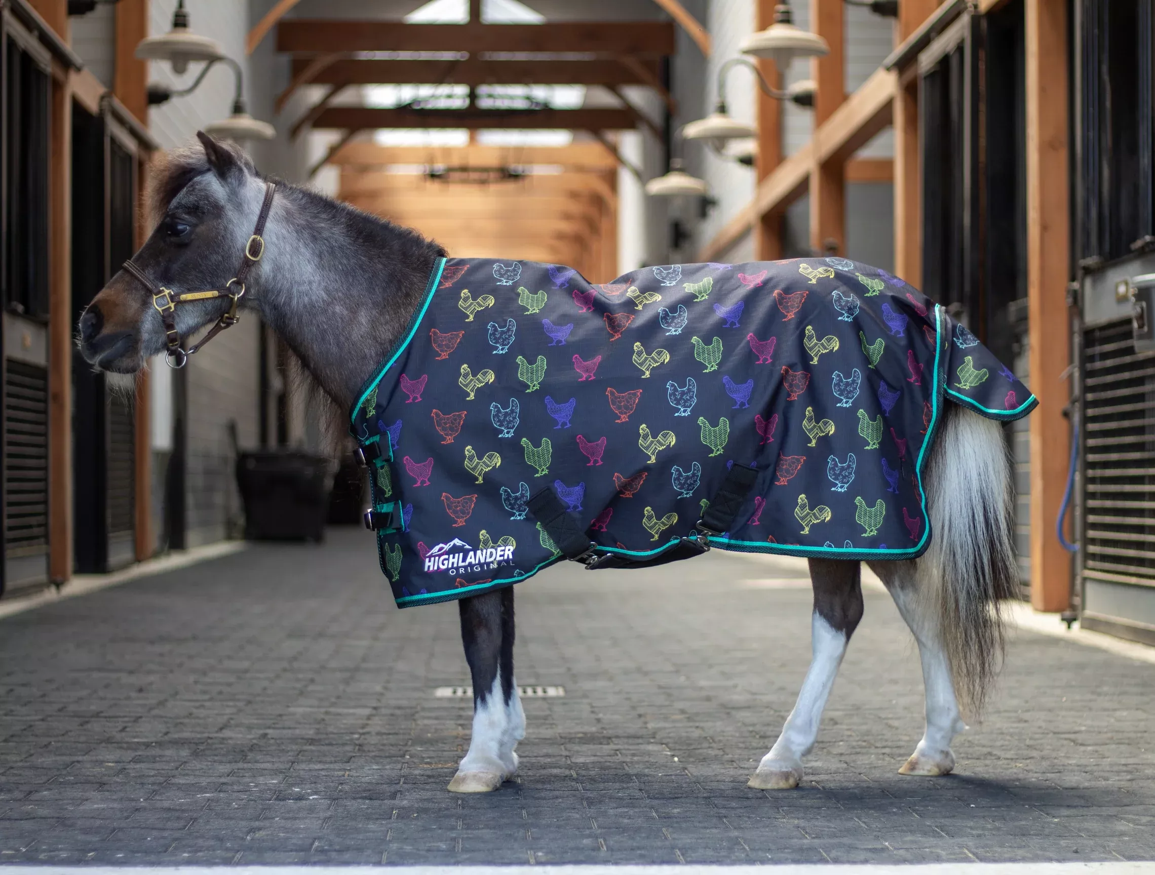 Shires Mini Highlander Turnout Blanket 0g