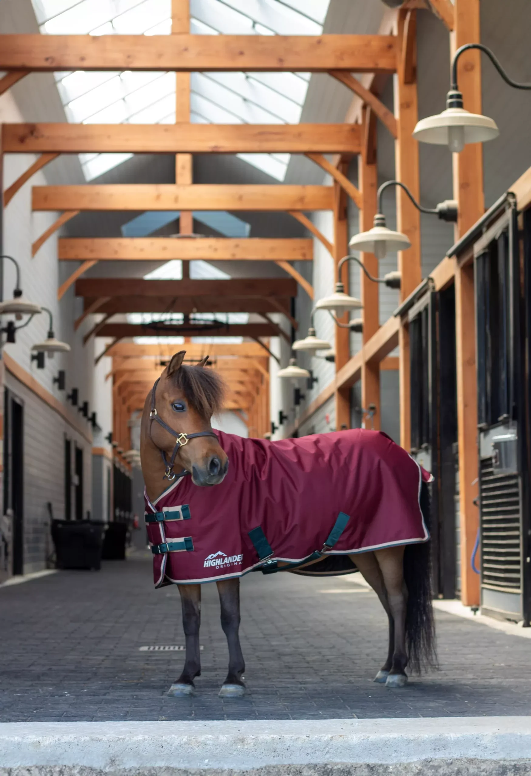 Shires Mini Highlander Winter Blanket 200g