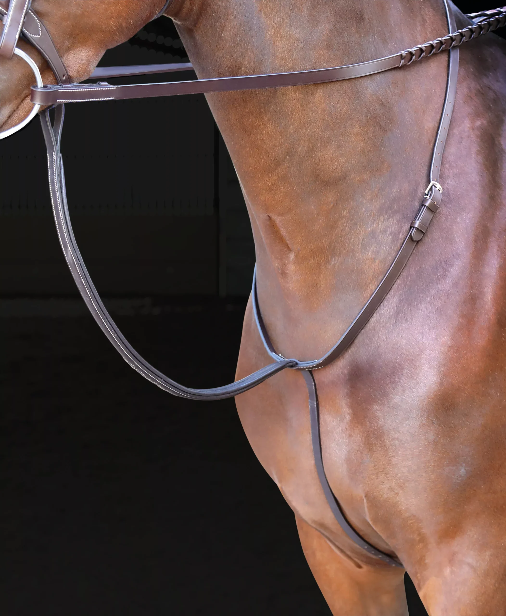 Shires Rosano Standing Martingale