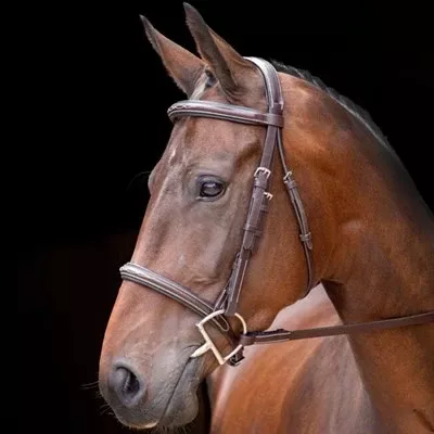 Shires Rossano Amalfi Bridle Cob