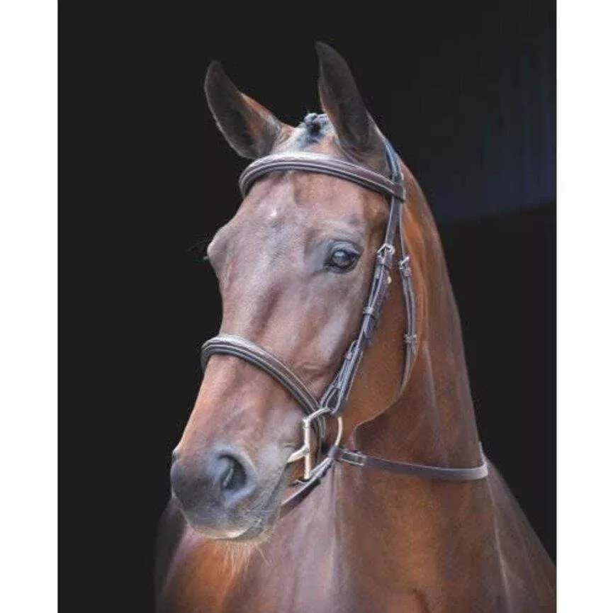 Shires Rossano Amalfi Bridle