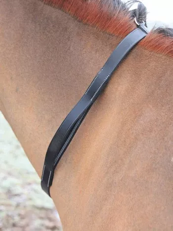 Shires Tapestry Neck Strap