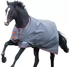 Shires Tempest 200 Winter Turnout Blanket