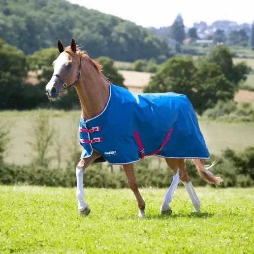 Shires Tempest Original Lite Turnout Blanket