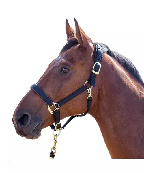 Shires Topaz Breakaway Halter