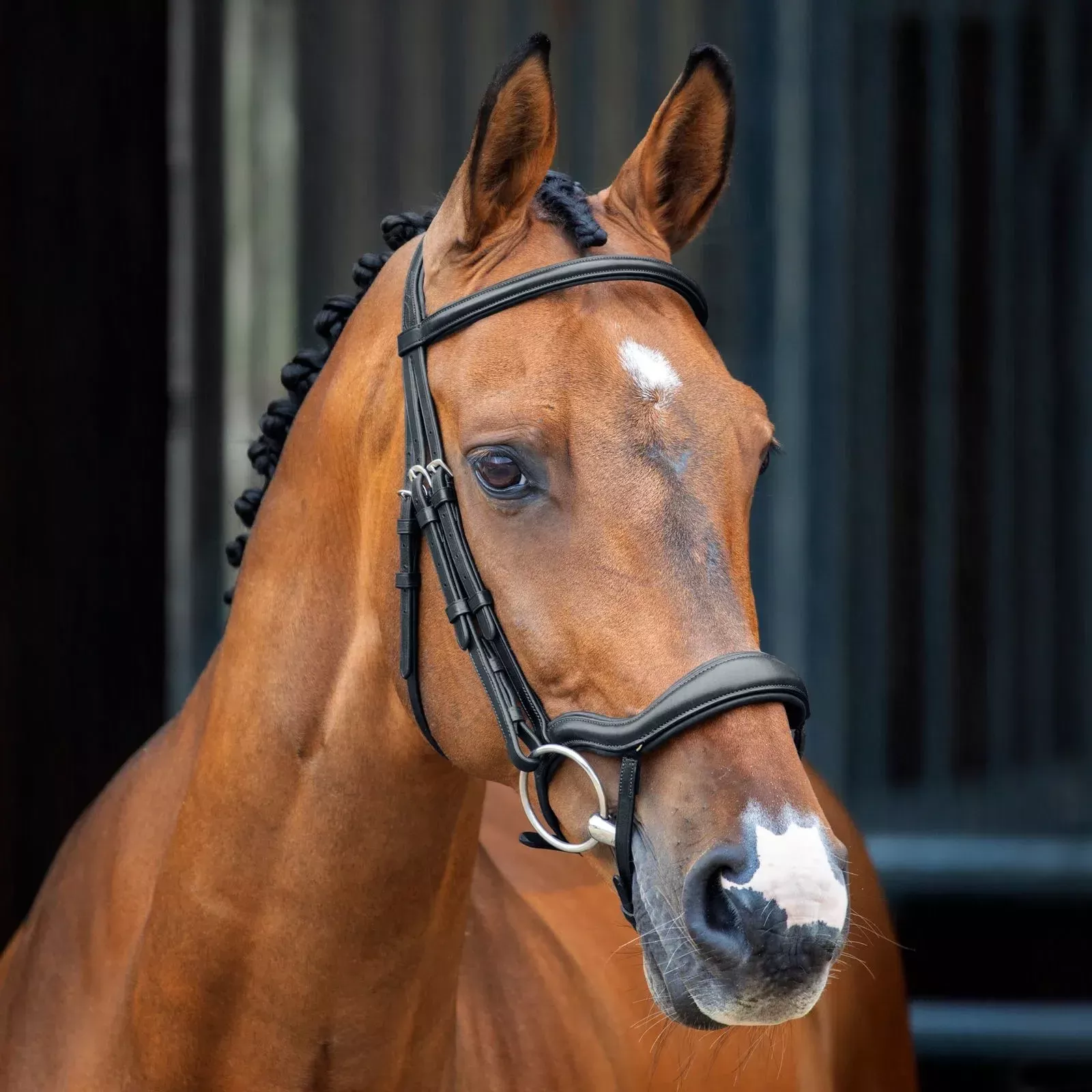 Shires Velociti Lusso Ergonomic Flash Bridle - Black