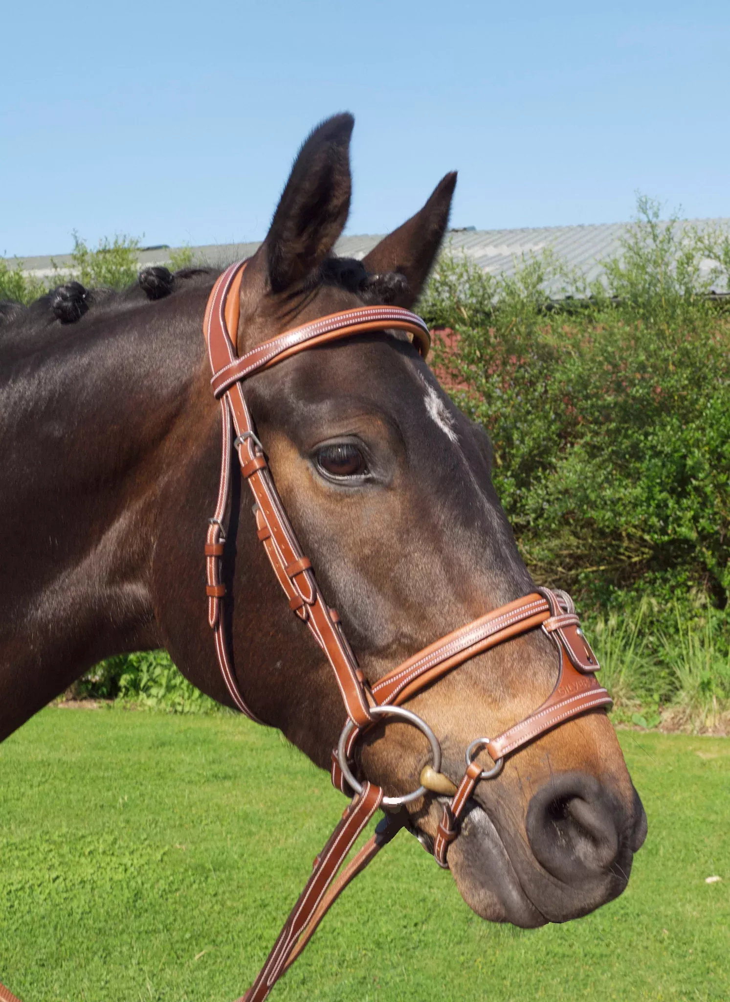 Silver Crown adjustable X-nose noseband (attachment only)
