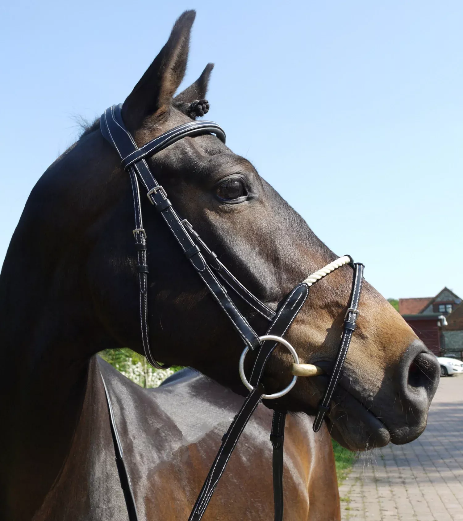 Silver Crown cord/rope flash noseband
