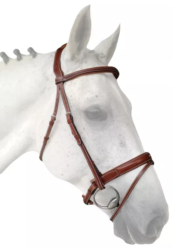 Silver Crown crank noseband with detachable flash strap