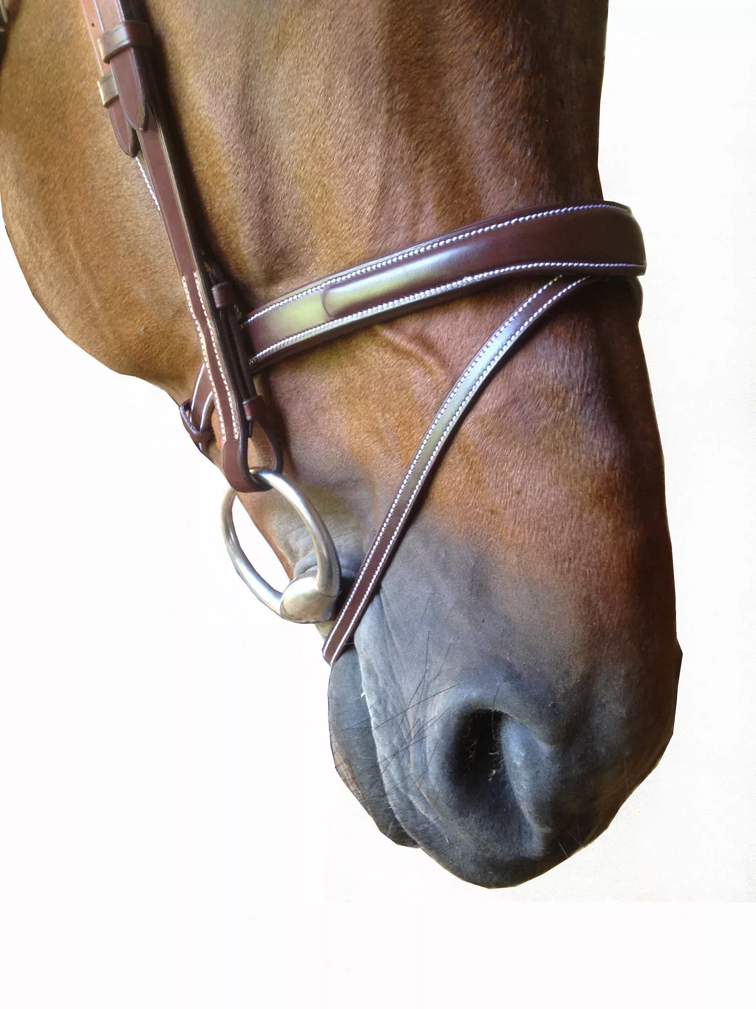 Silver Crown Flash 3D noseband with detachable flash strap