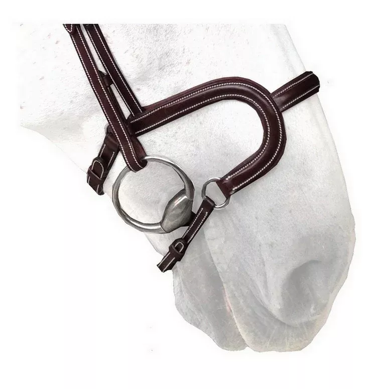 Silver Crown "H" noseband