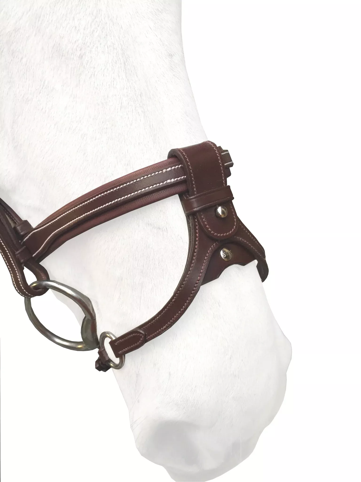 Silver Crown X-nose light noseband attachment