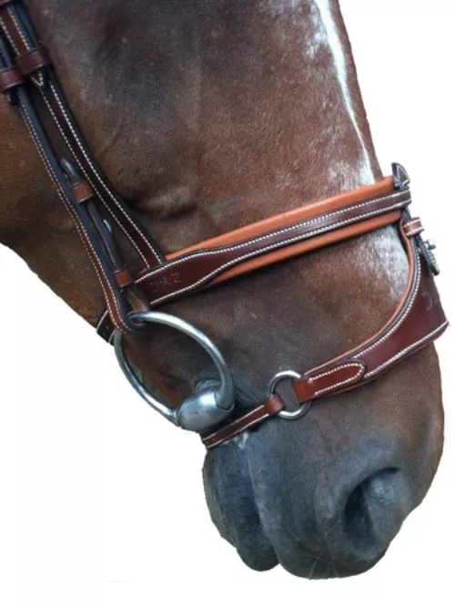 Silver Crown X-nose v.2 noseband