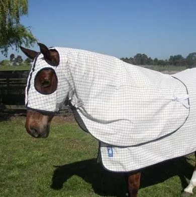 Skye Park Blueline Hood