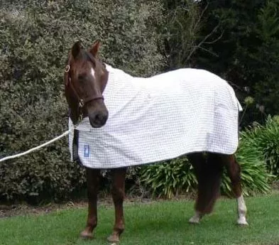 Skye Park Blueline Rug