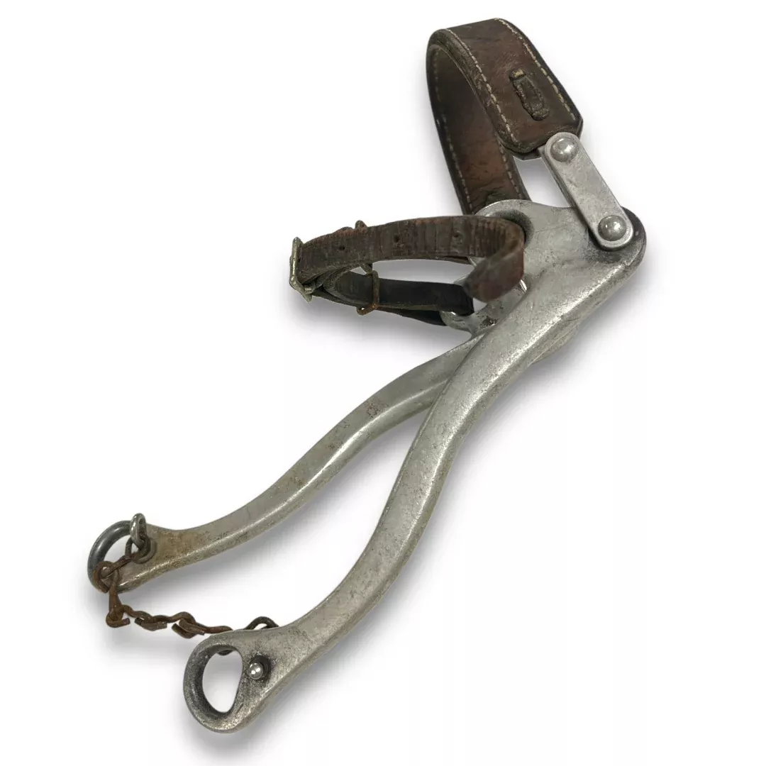 Sliester Hackamore
