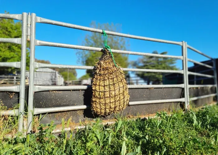 Small Knotless Slow Feed Hay Net