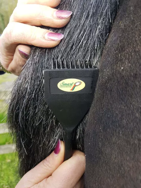 Smart Tails Standard