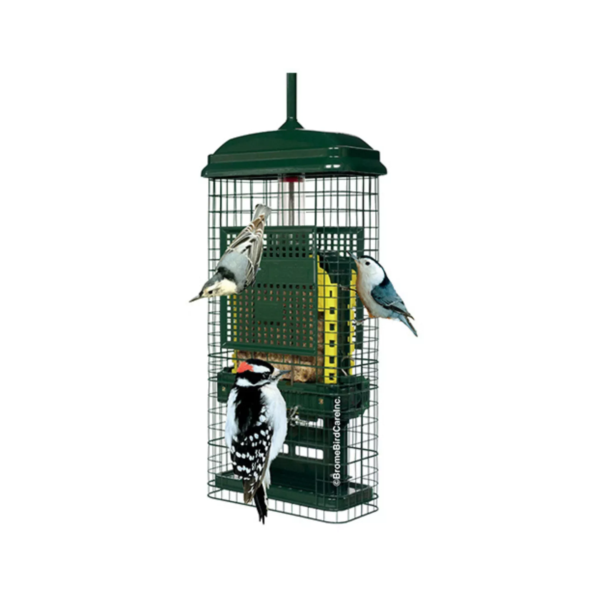 Squirrel Buster Suet Feeder