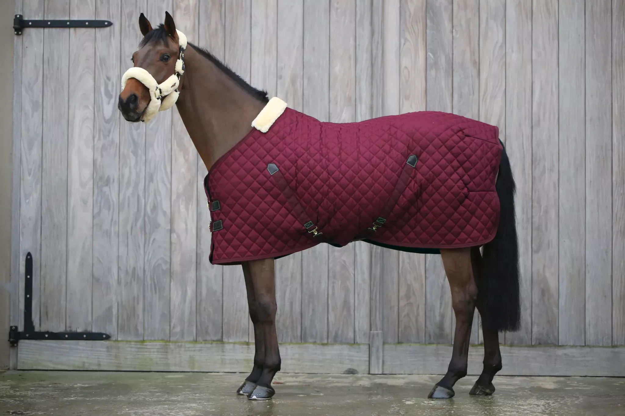 Stable Rug Bordeaux