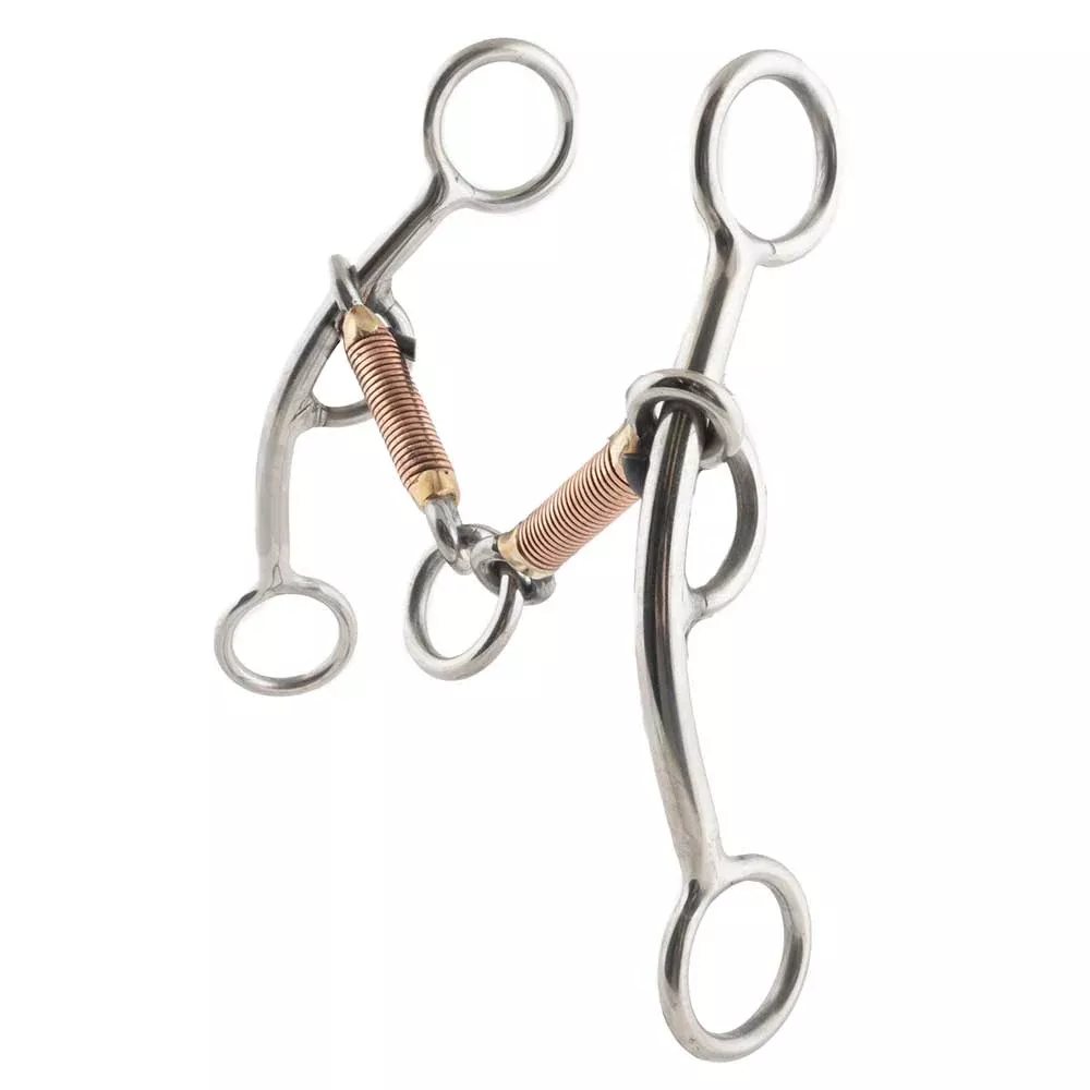 Stainless Steel Lifter Lifesaver Bit