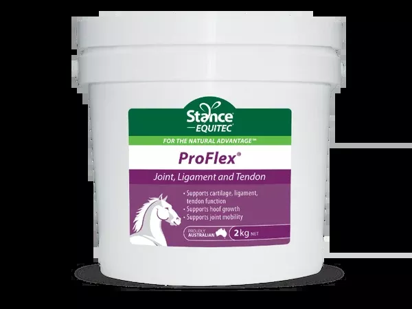 Stance Equitec Pro-Flex 2kg