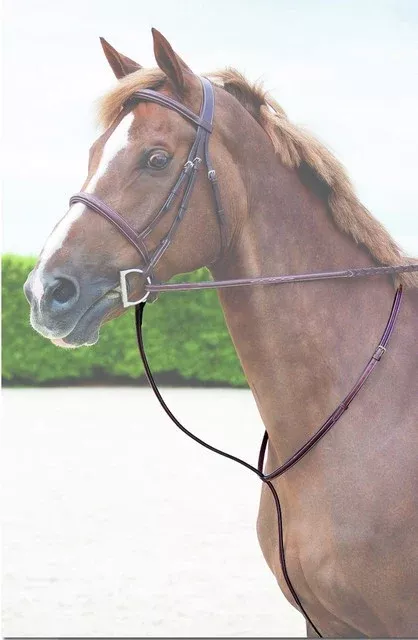 Standing Martingale Pony