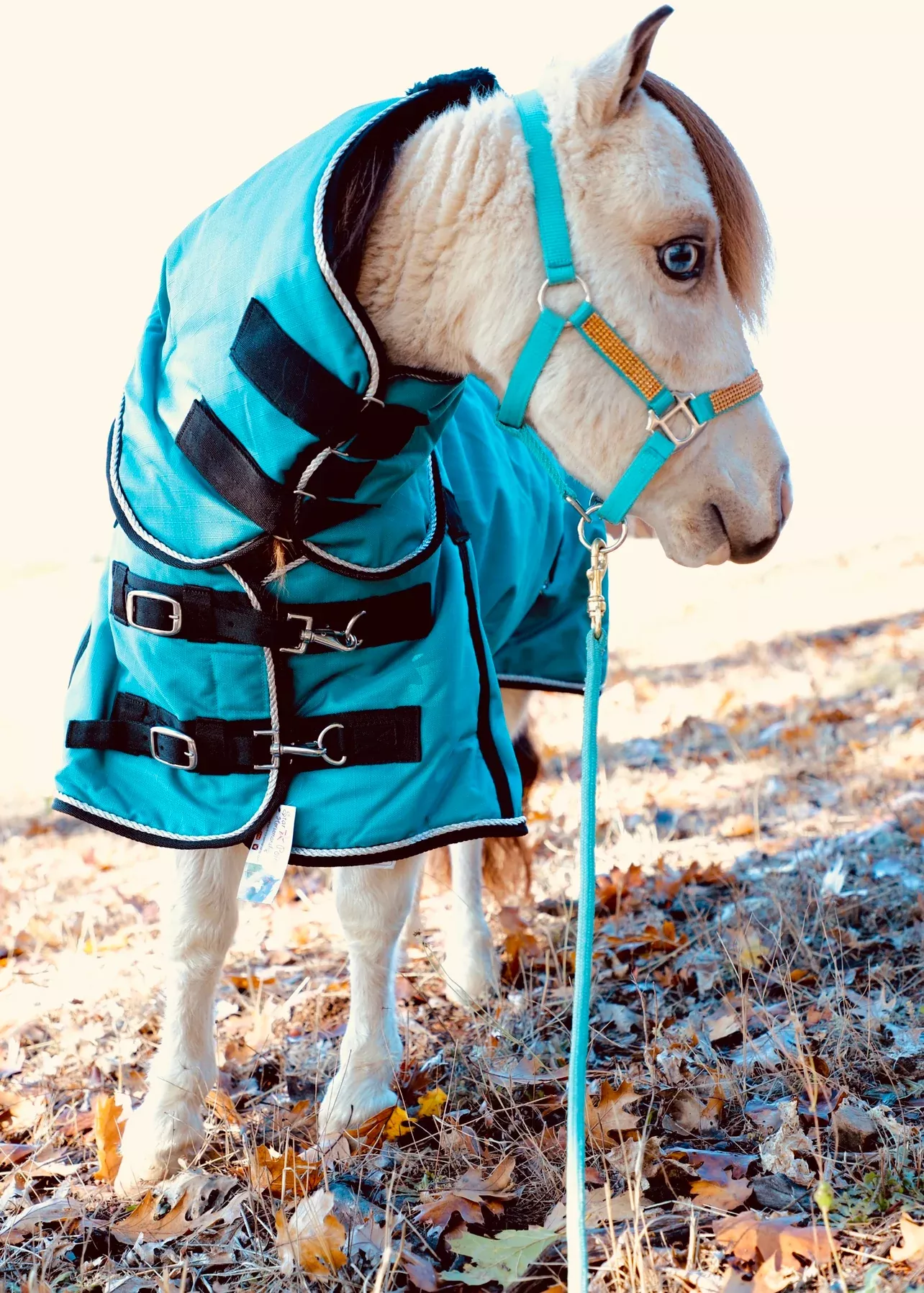 Star Point 1200D Waterproof Turnout Blanket — 220g Insulation (34-70")