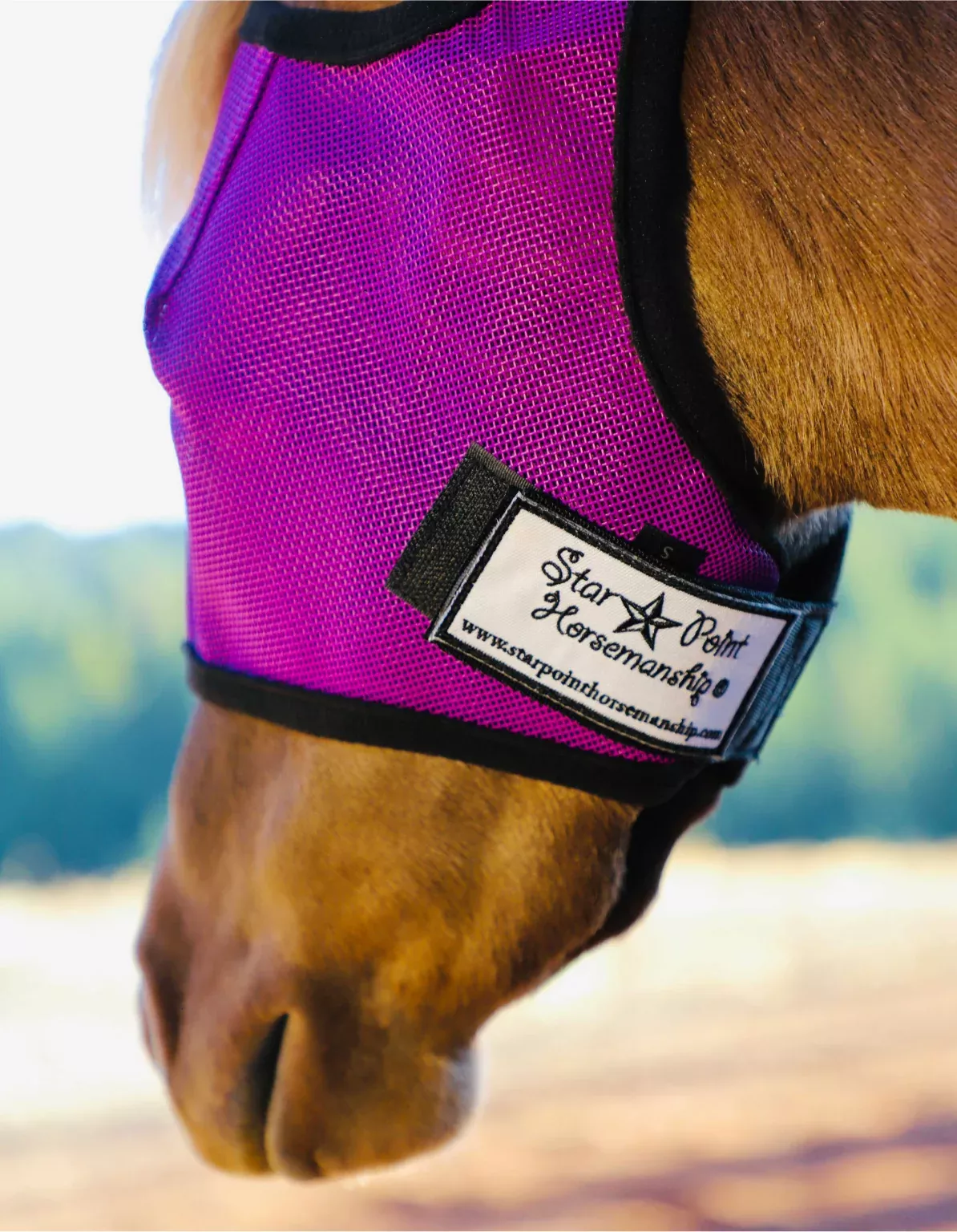Star Point UV Fly Mask - Mini, Pony & Cob Sizes