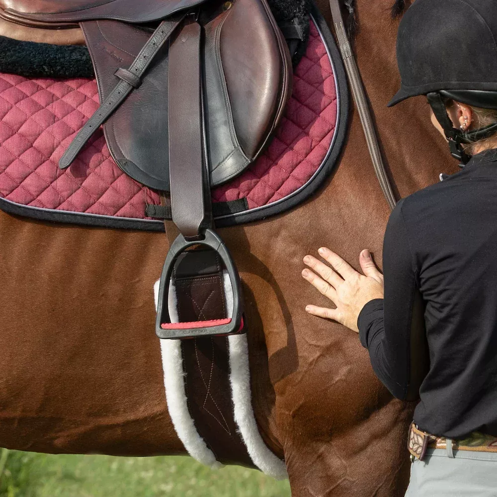 StretchTec Shoulder Relief Girth™ - English / Jump 46" - 56"