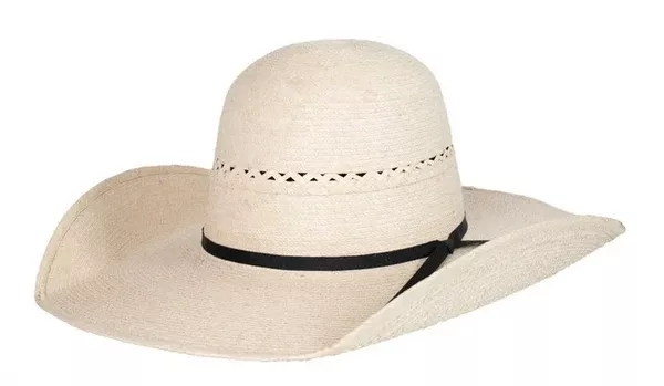 Sunbody The Breeze 5'' Palm Hat
