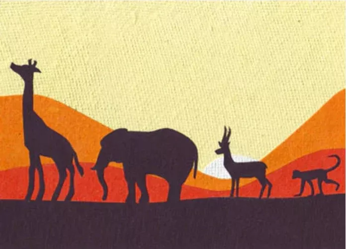 Sunset Safari