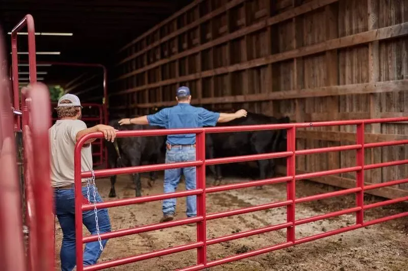 Tarter 14' Bullmax HD Round Corner Gate, Red