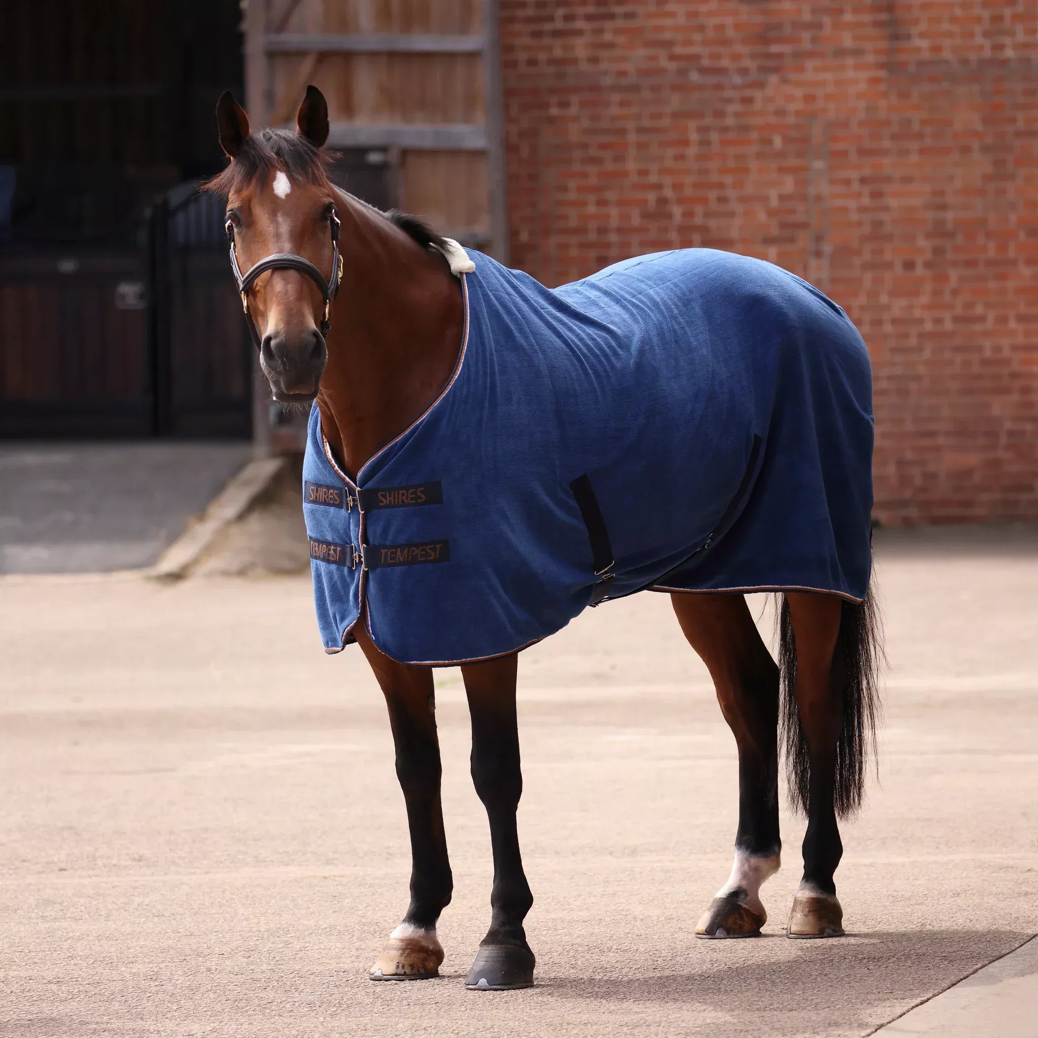 Tempest Original Ultra Drying Rug