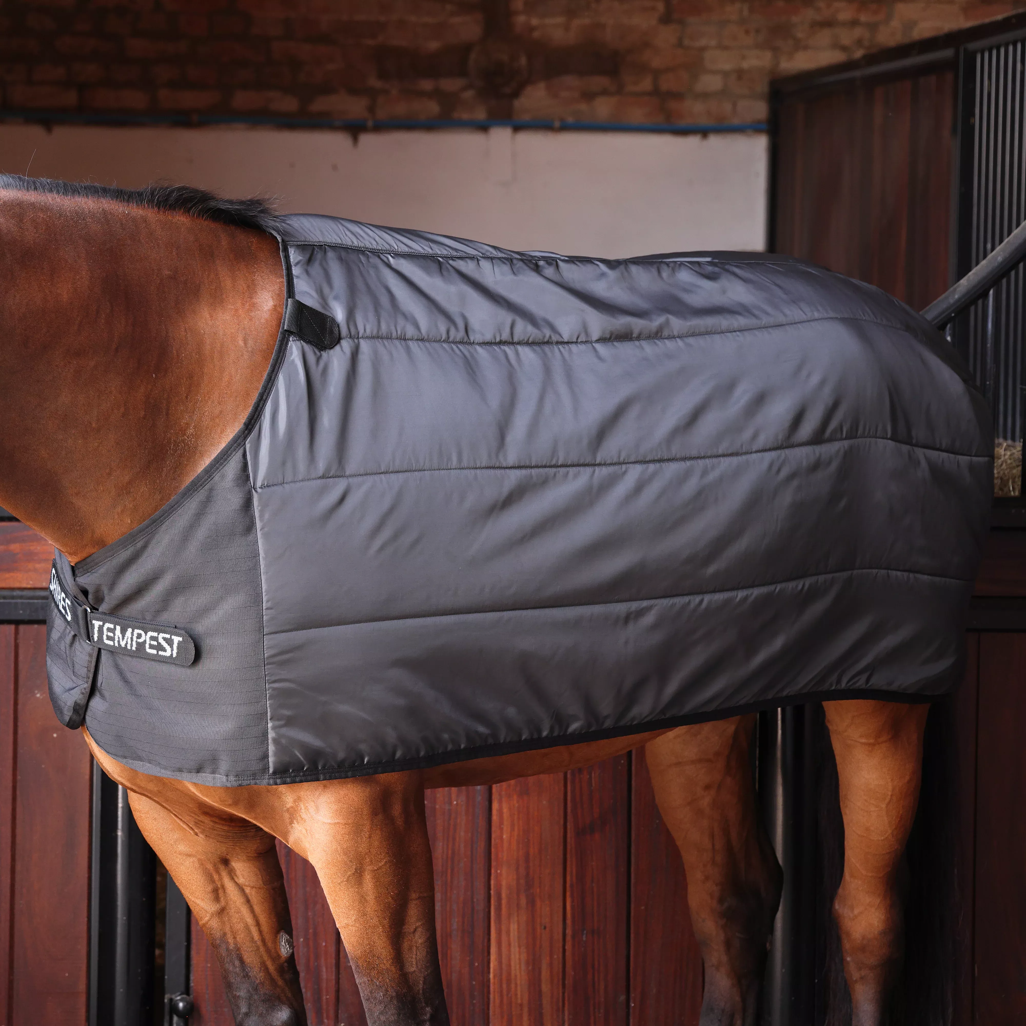 Tempest Original WarmaRug 100 Turnout Blanket Liner