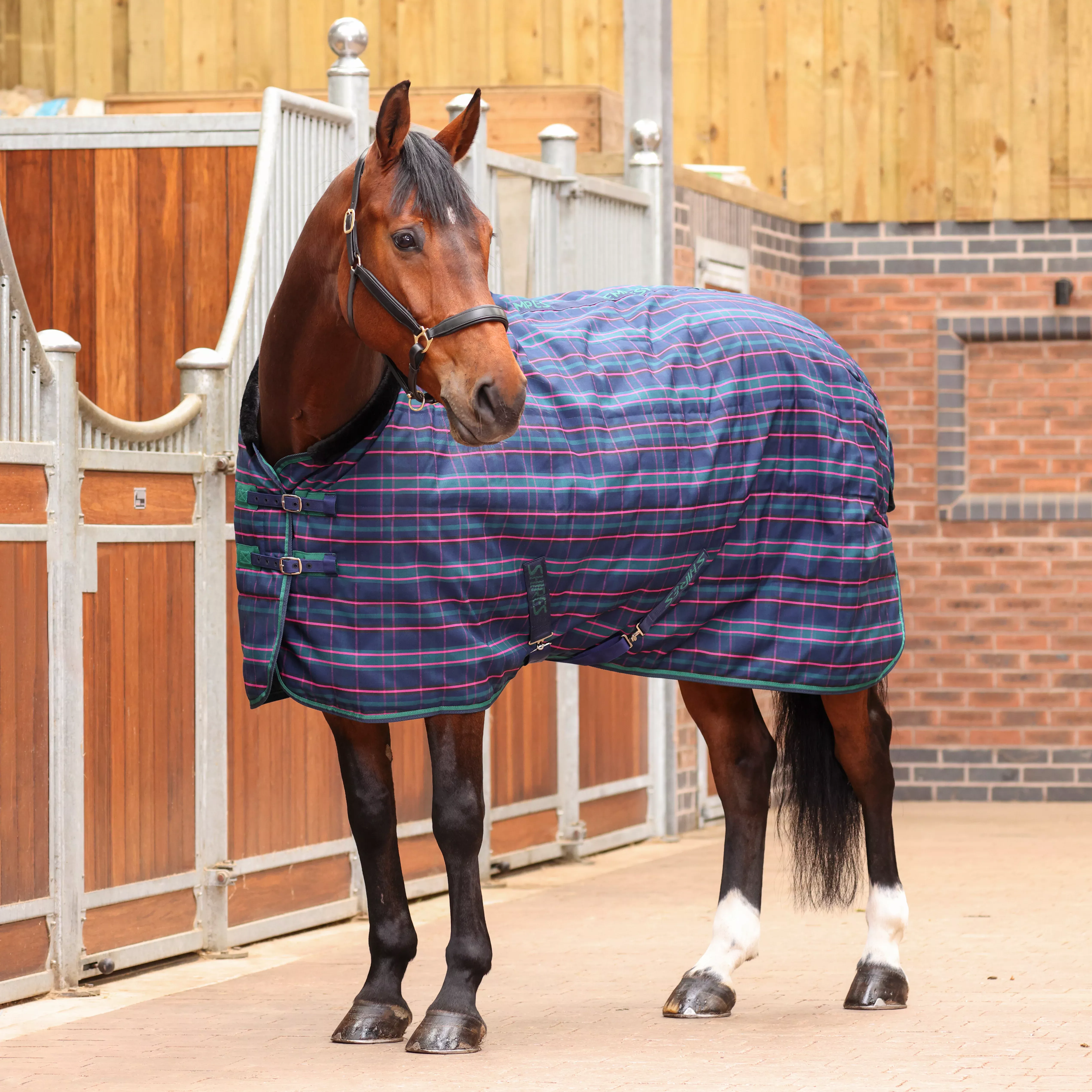 Tempest Plus 100 Stable Blanket