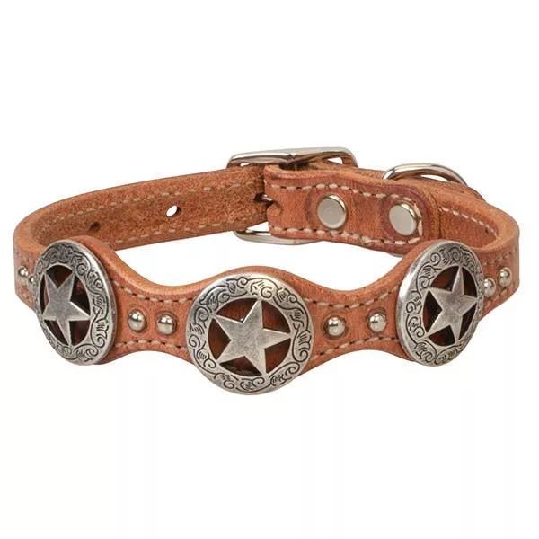 Texas Star Collar