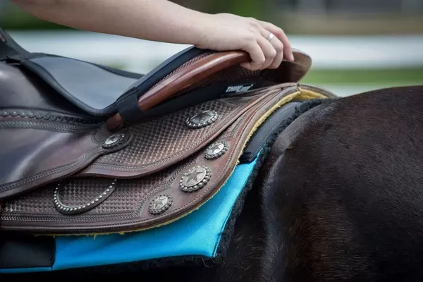 Thinline Game Changer Western Seat Saver